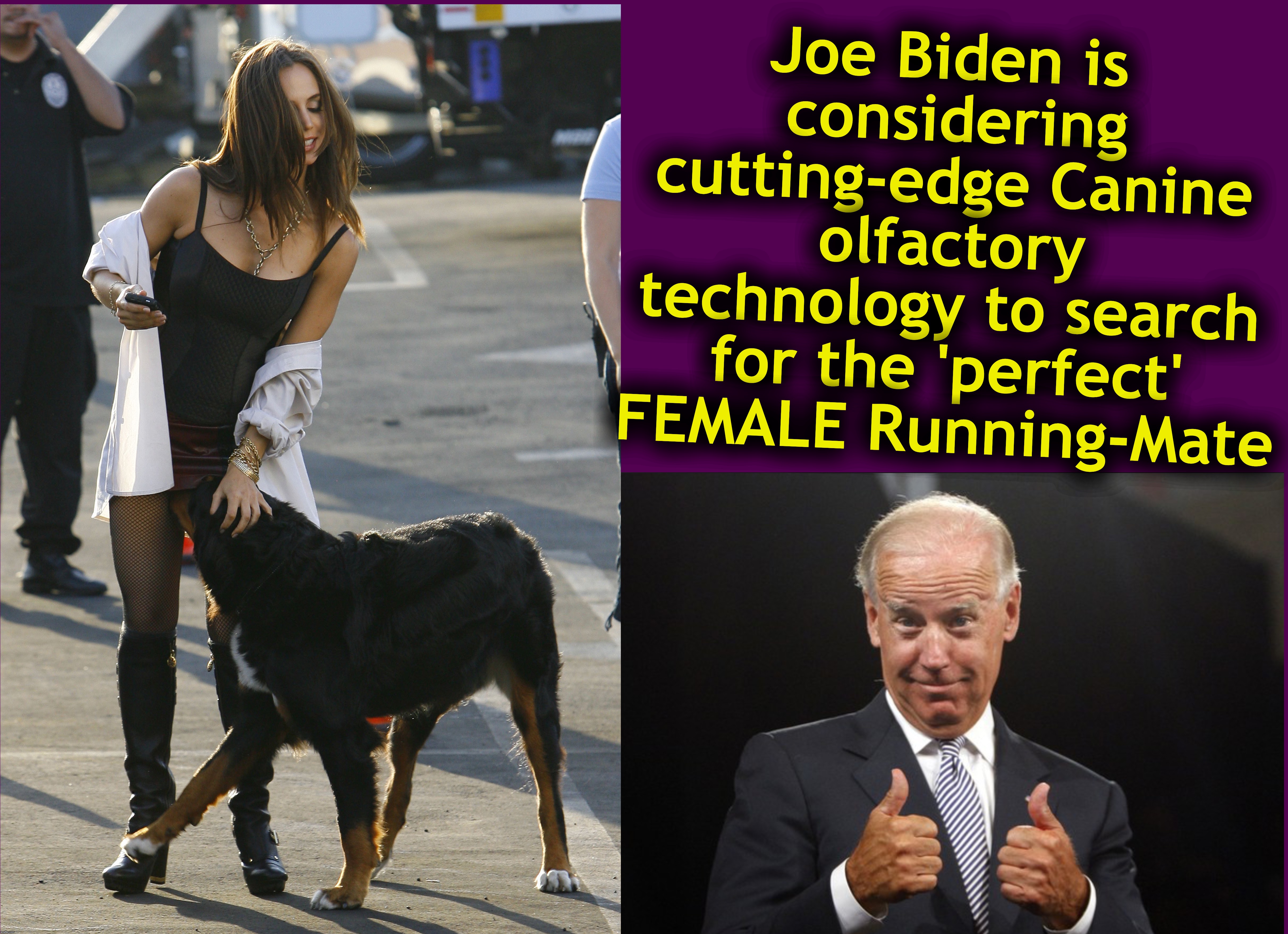 puts a new spin on 'pass the sniff test' [warning: this is satire] | Joe Biden is considering cutting-edge Canine olfactory technology to search for the 'perfect' FEMALE Running-Mate | image tagged in joe biden | made w/ Imgflip meme maker