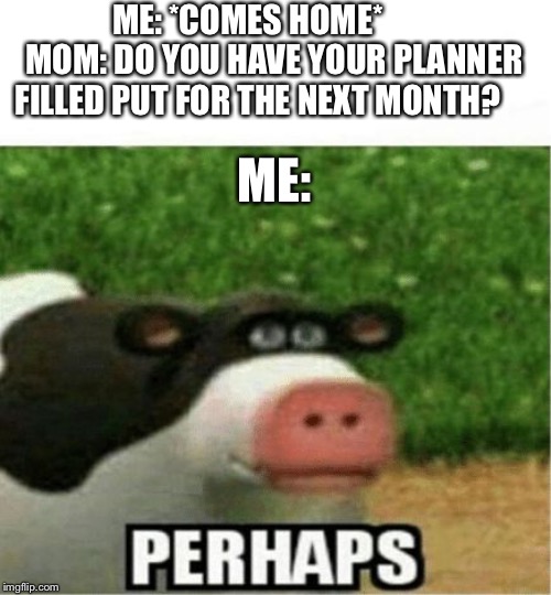 Perhaps Cow | ME: *COMES HOME*       
MOM: DO YOU HAVE YOUR PLANNER FILLED PUT FOR THE NEXT MONTH? ME: | image tagged in perhaps cow | made w/ Imgflip meme maker