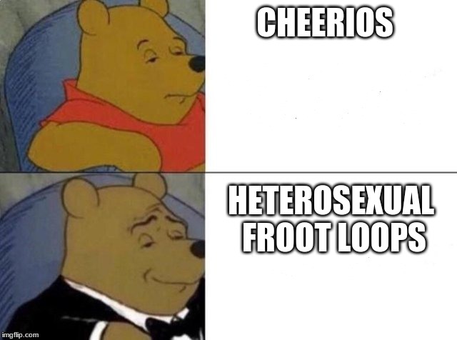 Tuxedo Winnie The Pooh Meme | CHEERIOS; HETEROSEXUAL FROOT LOOPS | image tagged in tuxedo winnie the pooh | made w/ Imgflip meme maker
