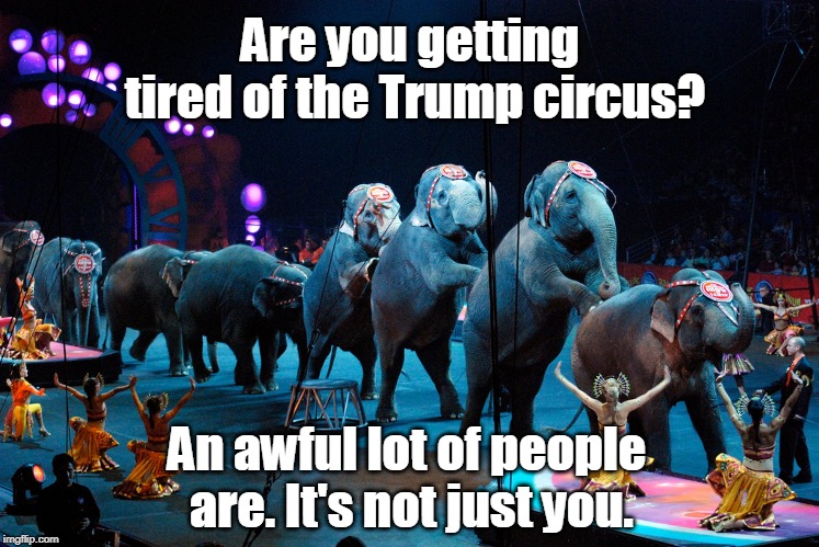 Are you getting tired of the Trump circus? An awful lot of people are. It's not just you. | image tagged in trump,circus,elephant,fatigue,tired | made w/ Imgflip meme maker