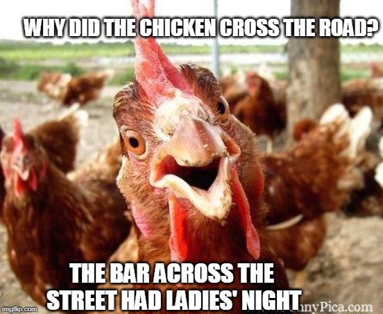 Chicken | WHY DID THE CHICKEN CROSS THE ROAD? THE BAR ACROSS THE STREET HAD LADIES' NIGHT | image tagged in chicken | made w/ Imgflip meme maker