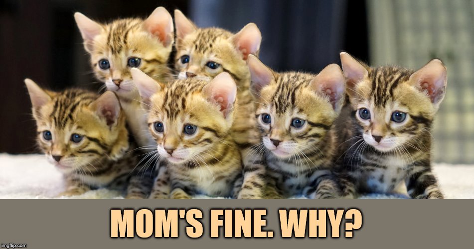 MOM'S FINE. WHY? | made w/ Imgflip meme maker