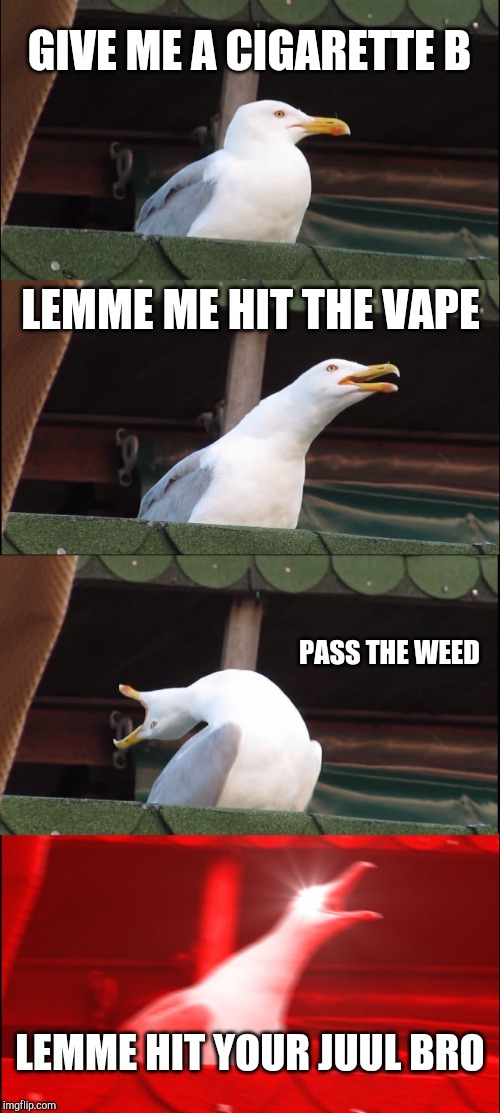 Inhaling Seagull Meme | GIVE ME A CIGARETTE B; LEMME ME HIT THE VAPE; PASS THE WEED; LEMME HIT YOUR JUUL BRO | image tagged in memes,inhaling seagull | made w/ Imgflip meme maker