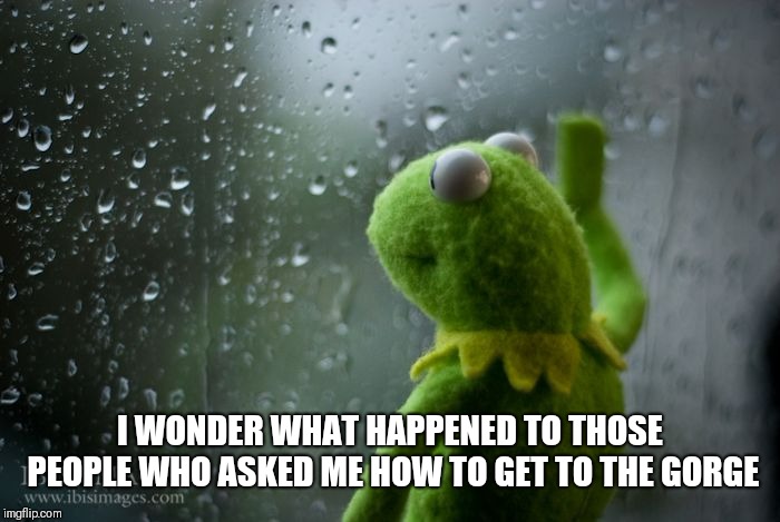 kermit window | I WONDER WHAT HAPPENED TO THOSE PEOPLE WHO ASKED ME HOW TO GET TO THE GORGE | image tagged in kermit window | made w/ Imgflip meme maker