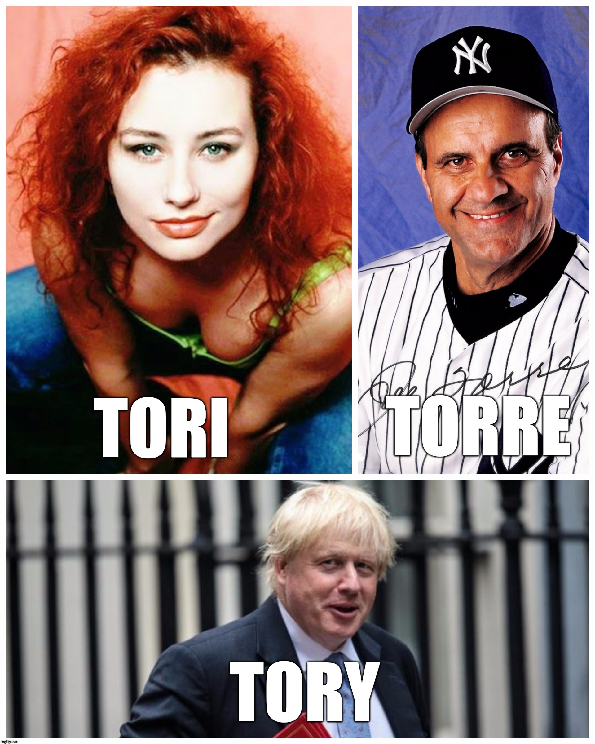 Tori Torre Tory | TORRE; TORI; TORY | image tagged in bands,tori amos,funny,yankees,boris johnson | made w/ Imgflip meme maker