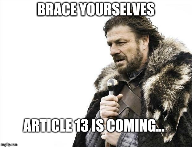 Brace Yourselves X is Coming Meme | BRACE YOURSELVES; ARTICLE 13 IS COMING... | image tagged in memes,brace yourselves x is coming | made w/ Imgflip meme maker