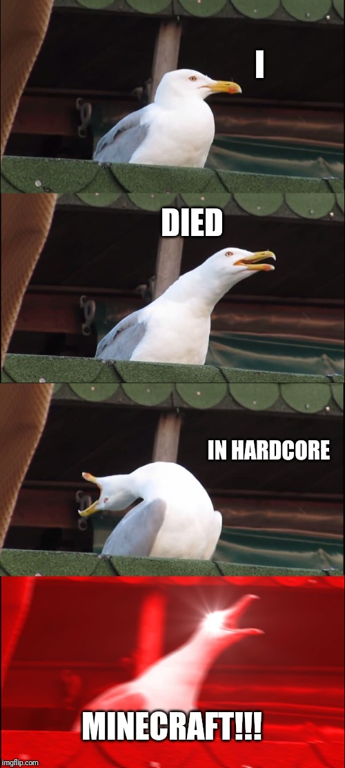 Inhaling Seagull | I; DIED; IN HARDCORE; MINECRAFT!!! | image tagged in memes,inhaling seagull | made w/ Imgflip meme maker