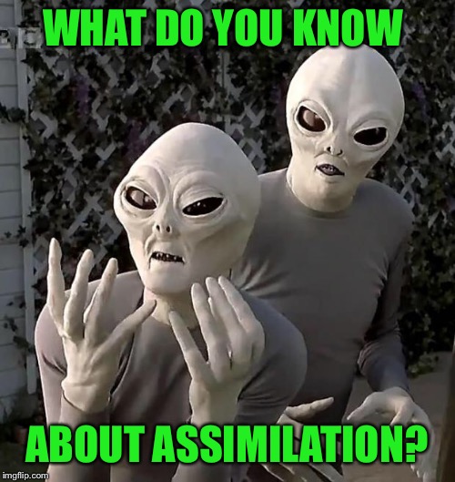 Aliens | WHAT DO YOU KNOW ABOUT ASSIMILATION? | image tagged in aliens | made w/ Imgflip meme maker