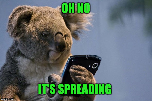 Smartphone koala | OH NO IT'S SPREADING | image tagged in smartphone koala | made w/ Imgflip meme maker