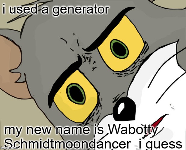 Unsettled Tom | i used a generator; my new name is Wabotty Schmidtmoondancer
 i guess | image tagged in memes,unsettled tom | made w/ Imgflip meme maker