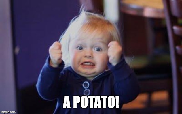 excited kid | A POTATO! | image tagged in excited kid | made w/ Imgflip meme maker