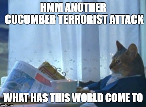 I Should Buy A Boat Cat | HMM ANOTHER CUCUMBER TERRORIST ATTACK; WHAT HAS THIS WORLD COME TO | image tagged in memes,i should buy a boat cat | made w/ Imgflip meme maker