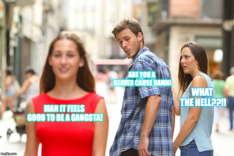 Distracted Boyfriend | ARE YOU A BEAVER CAUSE DAMN! WHAT THE HELL??!! MAN IT FEELS GOOD TO BE A GANGSTA! | image tagged in memes,distracted boyfriend | made w/ Imgflip meme maker