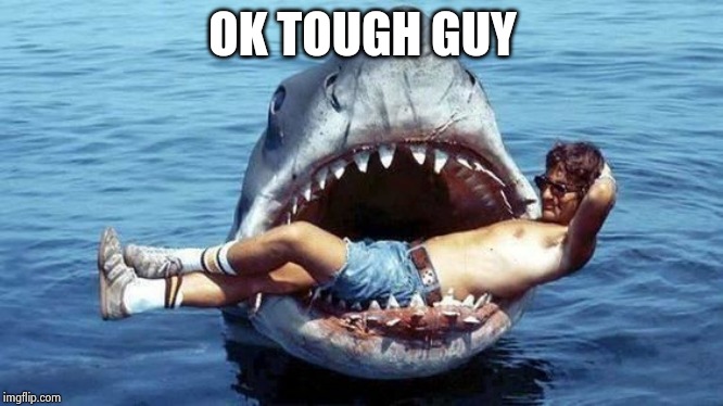 Pet Shark | OK TOUGH GUY | image tagged in pet shark | made w/ Imgflip meme maker