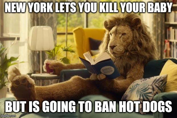 Lion relaxing | NEW YORK LETS YOU KILL YOUR BABY BUT IS GOING TO BAN HOT DOGS | image tagged in lion relaxing | made w/ Imgflip meme maker