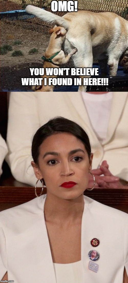 Yep, That's where You'd Find Her... | OMG! YOU WON'T BELIEVE WHAT I FOUND IN HERE!!! | image tagged in aoc,big dog little dog | made w/ Imgflip meme maker