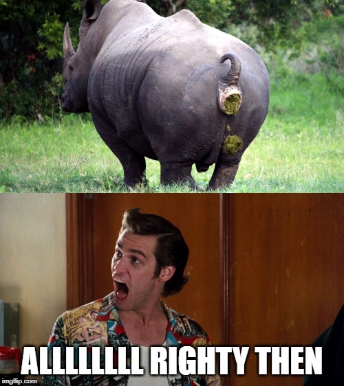 Ace Did It Better | ALLLLLLLL RIGHTY THEN | image tagged in rhino,ace ventura | made w/ Imgflip meme maker