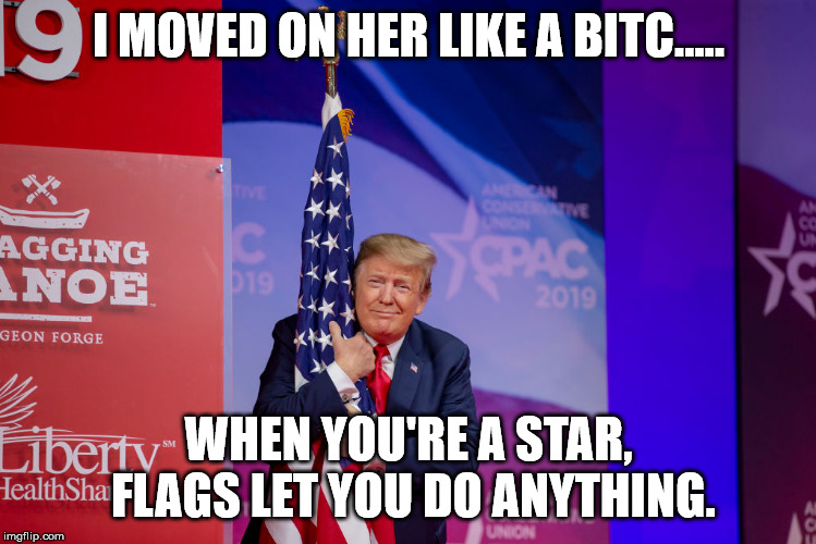 Trump Flag | I MOVED ON HER LIKE A BITC..... WHEN YOU'RE A STAR, FLAGS LET YOU DO ANYTHING. | image tagged in trump flag | made w/ Imgflip meme maker