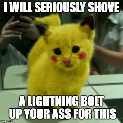 Poke-Cat | I WILL SERIOUSLY SHOVE; A LIGHTNING BOLT UP YOUR ASS FOR THIS | image tagged in cat,pokemon | made w/ Imgflip meme maker