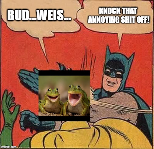 Those Damn Frogs Again... | BUD...WEIS... KNOCK THAT ANNOYING SHIT OFF! | image tagged in memes,batman slapping robin | made w/ Imgflip meme maker