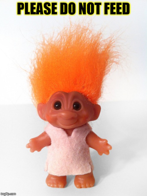 Troll doll | PLEASE DO NOT FEED | image tagged in troll doll | made w/ Imgflip meme maker