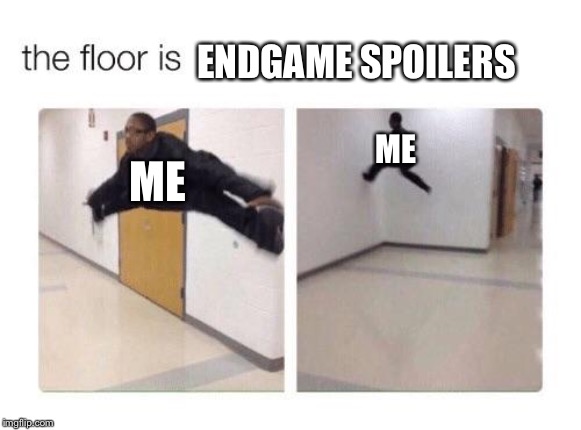 I Downvote Endgame Spoilers | ENDGAME SPOILERS; ME; ME | image tagged in the floor is,endgame,avengers,spoilers,memes,marvel | made w/ Imgflip meme maker