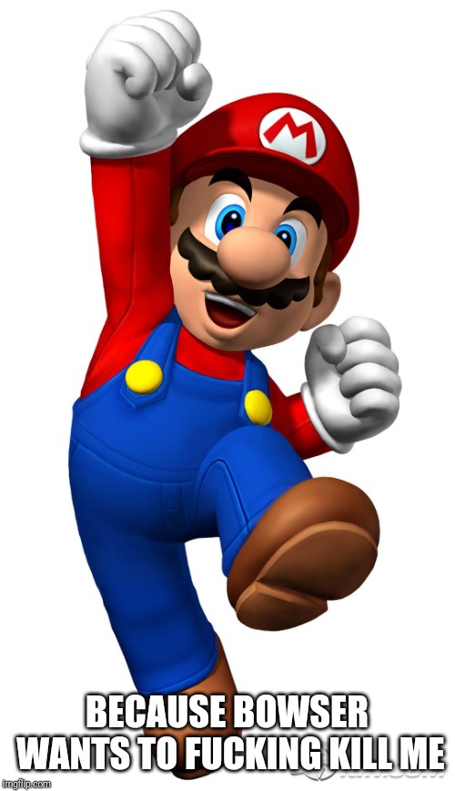 Super Mario | BECAUSE BOWSER WANTS TO F**KING KILL ME | image tagged in super mario | made w/ Imgflip meme maker