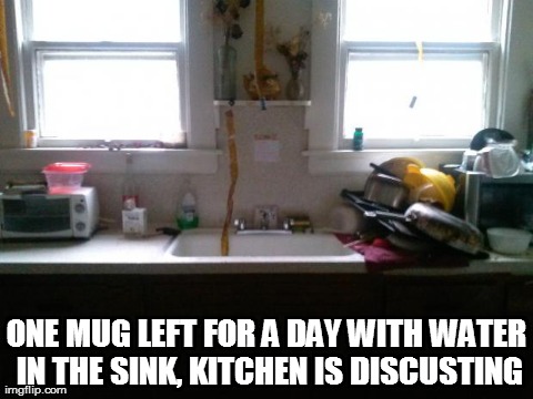 ONE MUG LEFT FOR A DAY WITH WATER IN THE SINK, KITCHEN IS DISCUSTING | made w/ Imgflip meme maker