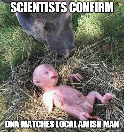 Amish | SCIENTISTS CONFIRM; DNA MATCHES LOCAL AMISH MAN | image tagged in amish | made w/ Imgflip meme maker