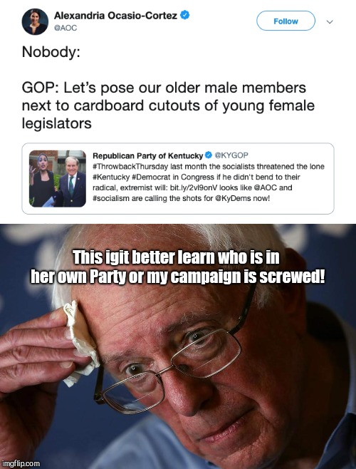Wrong Party, AOC. | This igit better learn who is in her own Party or my campaign is screwed! | image tagged in nope aoc he's democrat,alexandria ocasio-cortez,tweet,rep john yarmuth,ageism,racism | made w/ Imgflip meme maker