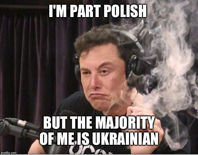 Elon Musk smoking a joint | I'M PART POLISH BUT THE MAJORITY OF ME IS UKRAINIAN | image tagged in elon musk smoking a joint | made w/ Imgflip meme maker