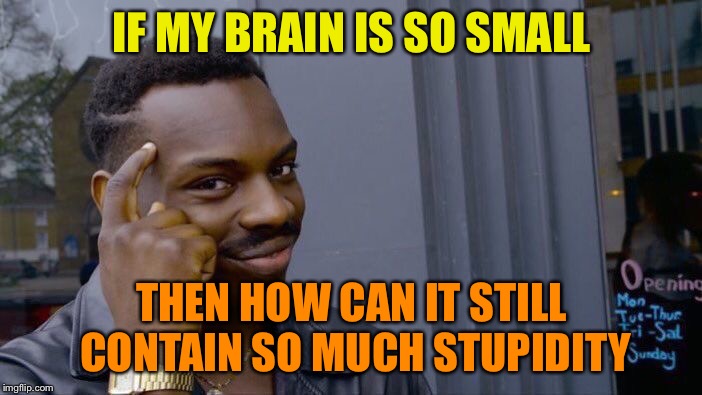 Roll Safe Think About It | IF MY BRAIN IS SO SMALL; THEN HOW CAN IT STILL CONTAIN SO MUCH STUPIDITY | image tagged in memes,roll safe think about it | made w/ Imgflip meme maker