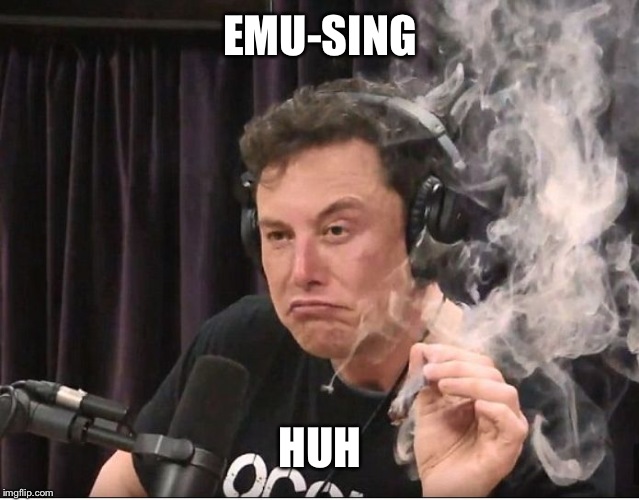 Elon Musk smoking a joint | EMU-SING HUH | image tagged in elon musk smoking a joint | made w/ Imgflip meme maker