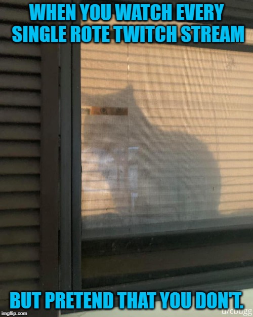 WHEN YOU WATCH EVERY SINGLE ROTE TWITCH STREAM; BUT PRETEND THAT YOU DON'T. | made w/ Imgflip meme maker