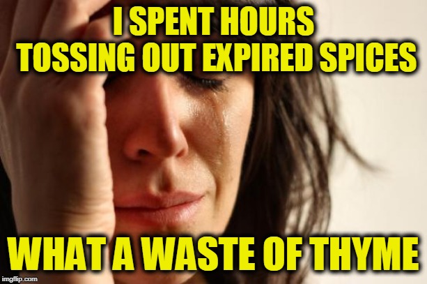 First World Problems Meme | I SPENT HOURS TOSSING OUT EXPIRED SPICES; WHAT A WASTE OF THYME | image tagged in memes,first world problems | made w/ Imgflip meme maker