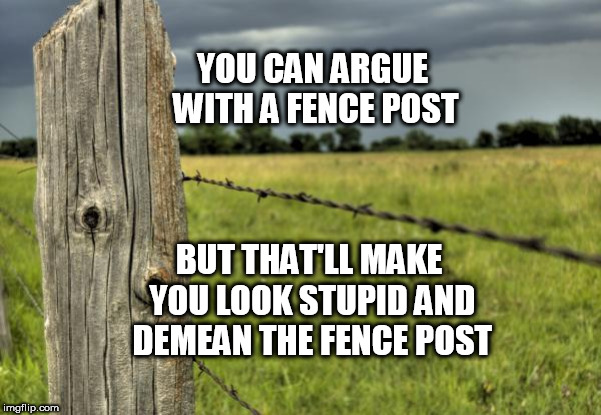 Arguing With Idiots | YOU CAN ARGUE WITH A FENCE POST; BUT THAT'LL MAKE YOU LOOK STUPID AND DEMEAN THE FENCE POST | image tagged in fence post,funny meme,political humor,people | made w/ Imgflip meme maker