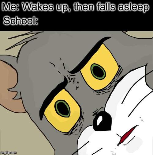 Unsettled Tom | Me: Wakes up, then falls asleep; School: | image tagged in memes,unsettled tom | made w/ Imgflip meme maker