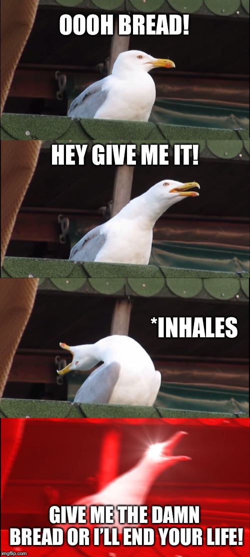 Inhaling Seagull | OOOH BREAD! HEY GIVE ME IT! *INHALES; GIVE ME THE DAMN BREAD OR I’LL END YOUR LIFE! | image tagged in memes,inhaling seagull | made w/ Imgflip meme maker