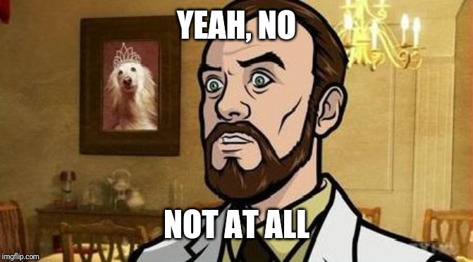 krieger | YEAH, NO NOT AT ALL | image tagged in krieger | made w/ Imgflip meme maker