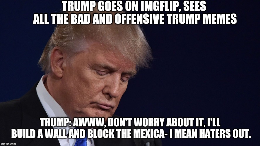 Funny Trump meme, no offence to Mexicans! | TRUMP GOES ON IMGFLIP, SEES ALL THE BAD AND OFFENSIVE TRUMP MEMES; TRUMP: AWWW, DON'T WORRY ABOUT IT, I'LL BUILD A WALL AND BLOCK THE MEXICA- I MEAN HATERS OUT. | image tagged in donald trump,funny memes | made w/ Imgflip meme maker