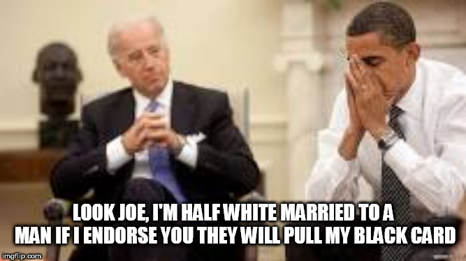 Obama and Biden | LOOK JOE, I'M HALF WHITE MARRIED TO A MAN IF I ENDORSE YOU THEY WILL PULL MY BLACK CARD | image tagged in obama and biden | made w/ Imgflip meme maker