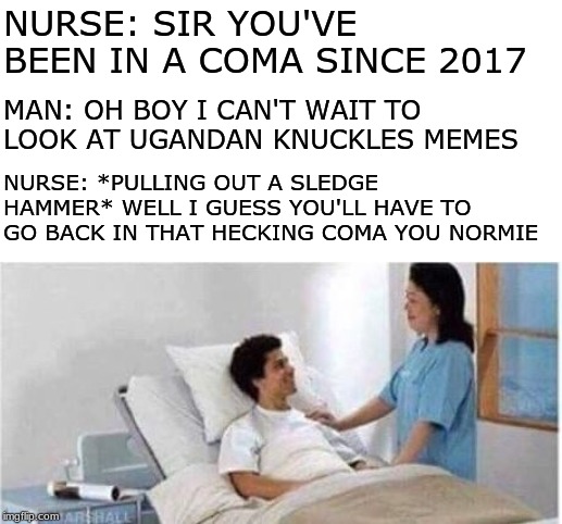 Sir, you've been in a coma | NURSE: SIR YOU'VE BEEN IN A COMA SINCE 2017; MAN: OH BOY I CAN'T WAIT TO LOOK AT UGANDAN KNUCKLES MEMES; NURSE: *PULLING OUT A SLEDGE HAMMER* WELL I GUESS YOU'LL HAVE TO GO BACK IN THAT HECKING COMA YOU NORMIE | image tagged in sir you've been in a coma | made w/ Imgflip meme maker