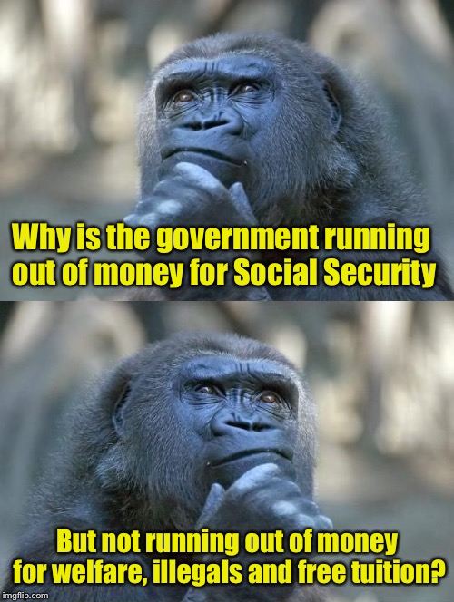 Thinking Gorilla On the One Hand | Why is the government running out of money for Social Security; But not running out of money for welfare, illegals and free tuition? | image tagged in thinking gorilla on the one hand,memes,money,government | made w/ Imgflip meme maker