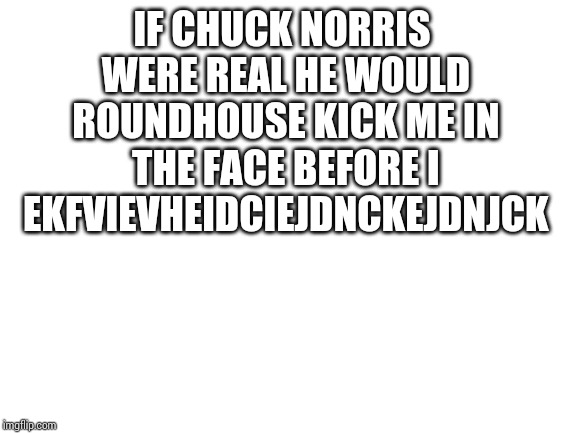 Blank White Template | IF CHUCK NORRIS WERE REAL HE WOULD ROUNDHOUSE KICK ME IN THE FACE BEFORE I EKFVIEVHEIDCIEJDNCKEJDNJCK | image tagged in blank white template | made w/ Imgflip meme maker