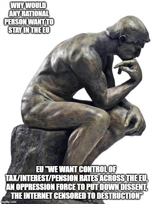 Thinking Man Statue | WHY WOULD ANY RATIONAL PERSON WANT TO STAY IN THE EU; EU "WE WANT CONTROL OF TAX/INTEREST/PENSION RATES ACROSS THE EU, AN OPPRESSION FORCE TO PUT DOWN DISSENT, THE INTERNET CENSORED TO DESTRUCTION" | image tagged in thinking man statue | made w/ Imgflip meme maker
