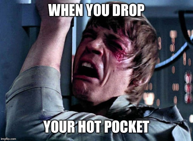 Nooo | WHEN YOU DROP; YOUR HOT POCKET | image tagged in nooo | made w/ Imgflip meme maker