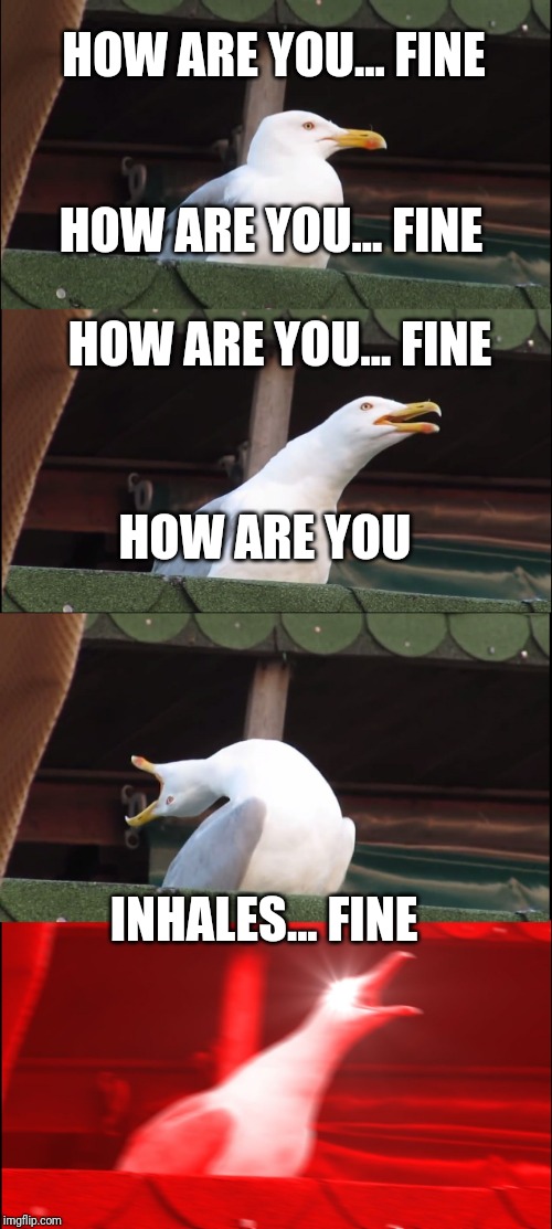 Retail workers are like | HOW ARE YOU... FINE; HOW ARE YOU... FINE; HOW ARE YOU... FINE; HOW ARE YOU; INHALES... FINE | image tagged in memes,inhaling seagull,retail | made w/ Imgflip meme maker