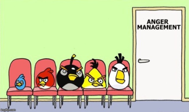 Angry birds finally getting the help they need | image tagged in memes,gaming,angry birds,anger management,calm down,funny | made w/ Imgflip meme maker