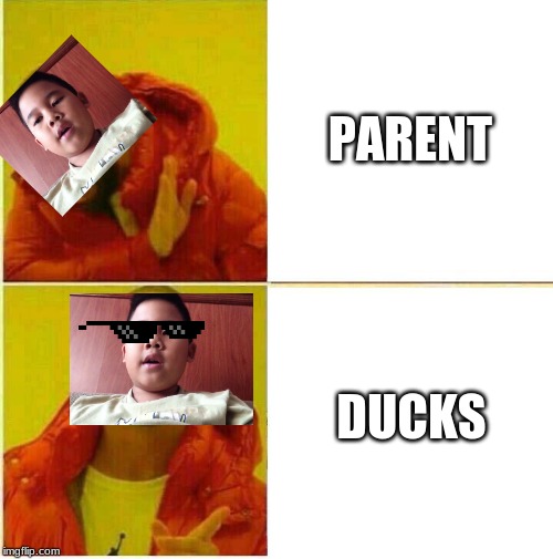 voreak prefer ducks than parent | PARENT; DUCKS | image tagged in drake hotline approves | made w/ Imgflip meme maker