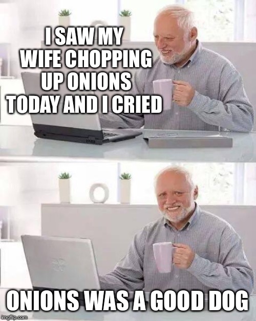 Guess this made a dogs dinner of Harold’s day |  I SAW MY WIFE CHOPPING UP ONIONS TODAY AND I CRIED; ONIONS WAS A GOOD DOG | image tagged in memes,hide the pain harold,this onion won't make me cry,or is it,doggy,dinner | made w/ Imgflip meme maker